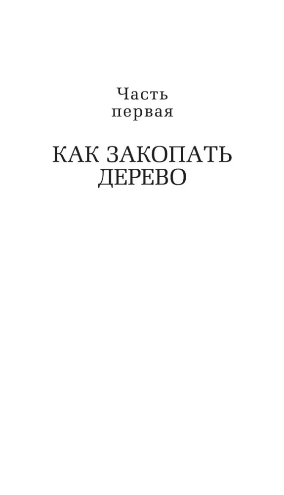 Wyspa zaginionych drzew